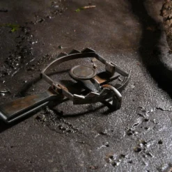 NECA - Universal Monsters - Ultimate Wolf Man 7