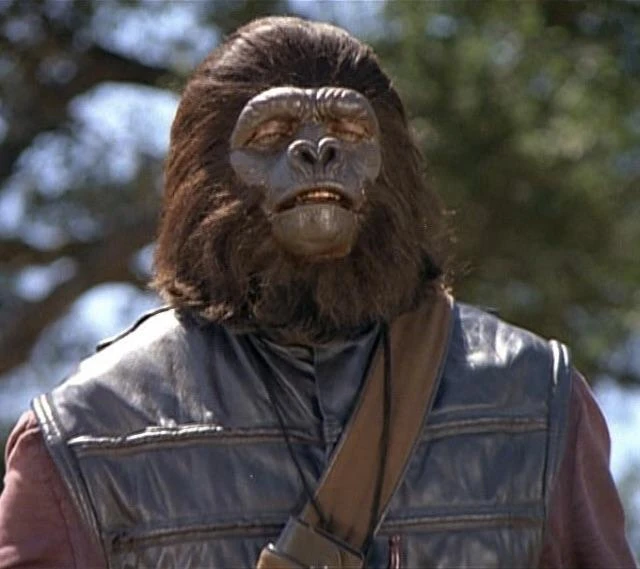 Mego Planet Of The Apes Wave 14 - Soldier Ape With Black Bandolier 8" Action Figure All Mego 17 Mego Planet Of The Apes Wave 14 - Soldier Ape With Black Bandolier 8" Action Figure All Mego