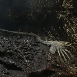 NECA - Aliens - 40TH Anniversary Wave 4 Set Of 3 - 7