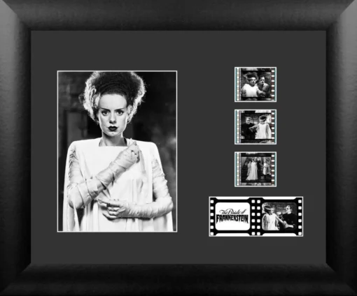 Film Cells LTD. Bride Of Frankenstein (Elsa Lanchester 1935) Horror Presentation Film Cell