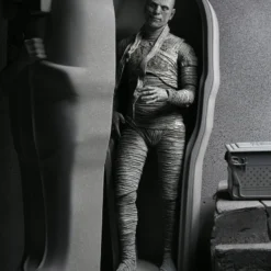 NECA - Universal Monsters - Ultimate Mummy (B&W) 7