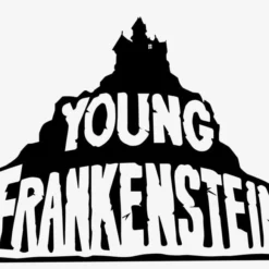 Damaged Package Mego Movies Wave 14 - Young Frankenstein's Monster 8
